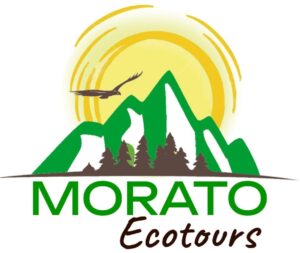 Bravo & CO. Morato Inicio - Colegio de Profesionales en Turismo Cochabamba